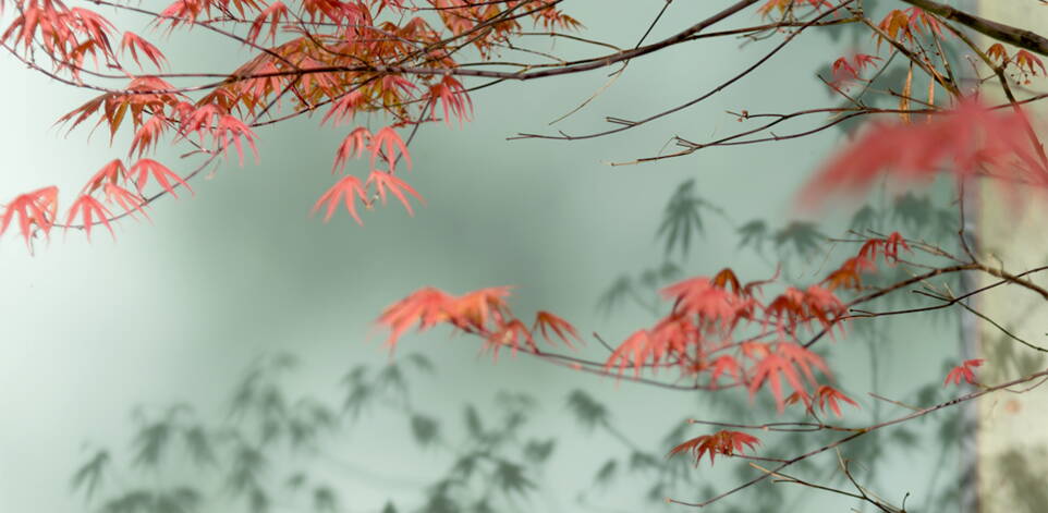 ostern_2018-header-web.jpg ostern_2018-header-web.jpg